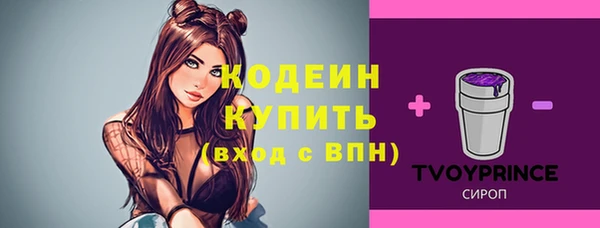 дурь Заводоуковск