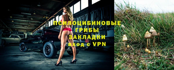 гашик Заволжье