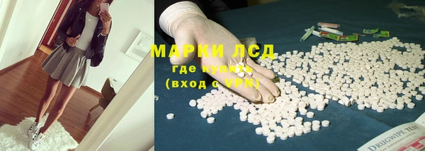 гашик Заволжье