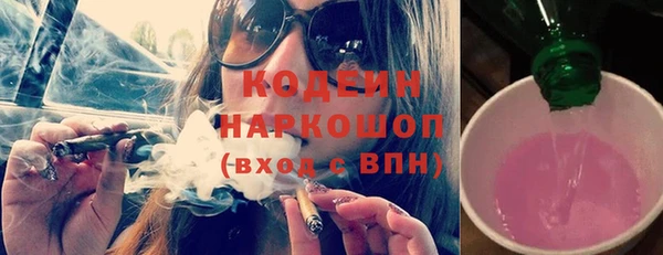 дурь Заводоуковск