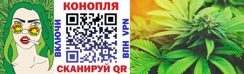 Купить где  Черногорск  Бошки марихуана гибрид 